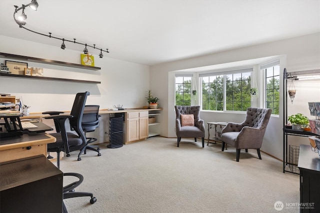 7123 NE 165th St, Kenmore, WA 98028 - home office with rail lighting and light colored carpet