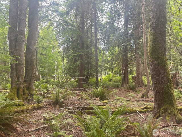 0 Black Point Ct, Brinnon, WA 98320 - photo 1