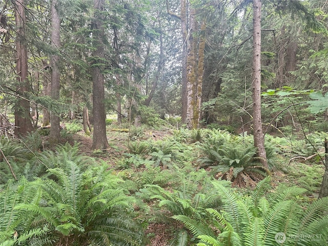 0 Black Point Ct, Brinnon, WA 98320 - photo 3