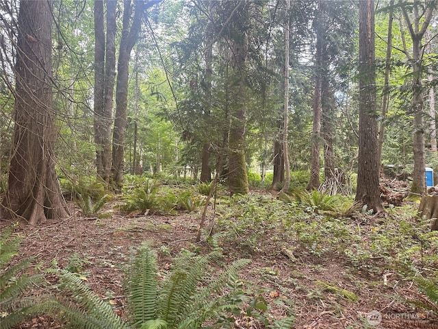 0 Black Point Ct, Brinnon, WA 98320 - photo 4