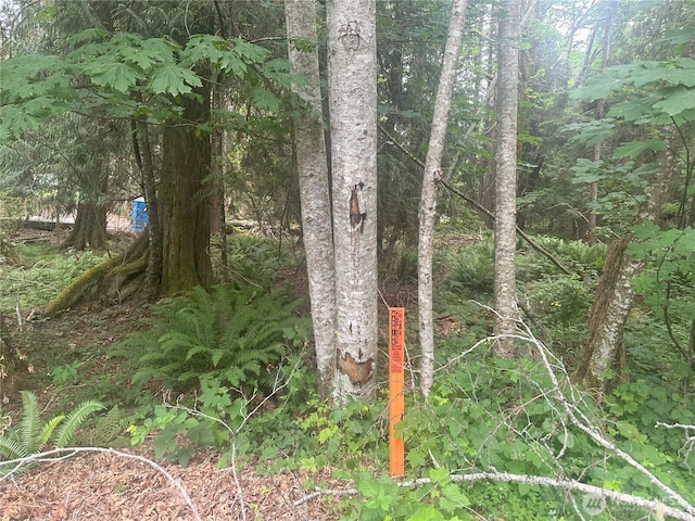 0 Black Point Ct, Brinnon, WA 98320 - photo 7