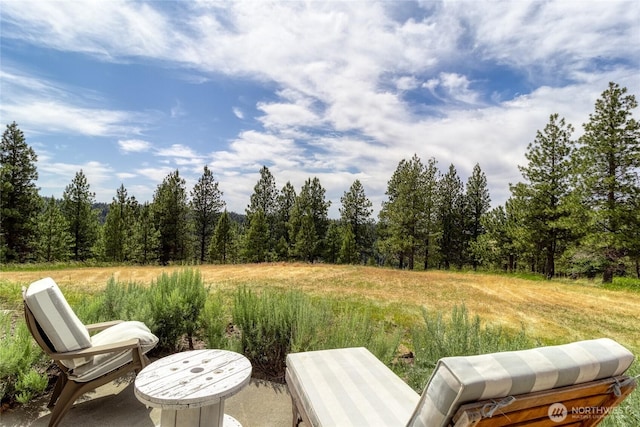 7714 Lewis Peak Rd, Waitsburg, WA 99361 - photo 5