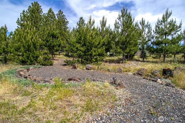 7714 Lewis Peak Rd, Waitsburg, WA 99361 - photo 30