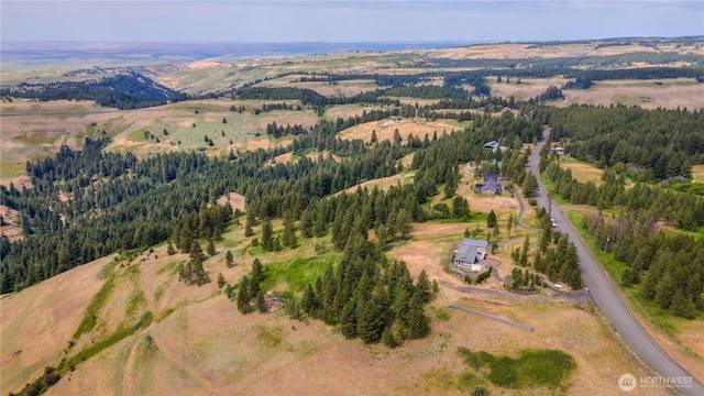 7714 Lewis Peak Rd, Waitsburg, WA 99361 - photo 33