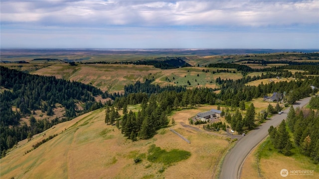 7714 Lewis Peak Rd, Waitsburg, WA 99361 - photo 35