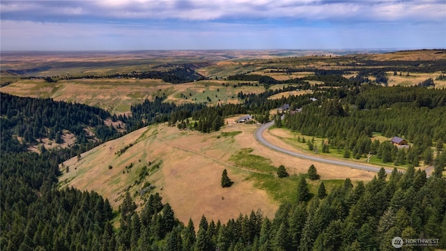 7714 Lewis Peak Rd, Waitsburg, WA 99361 - photo 34