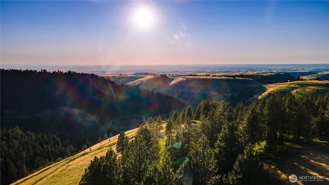 7714 Lewis Peak Rd, Waitsburg, WA 99361 - photo 40