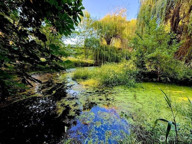314 SW Homestead, College Place, WA 99324 - view of nature