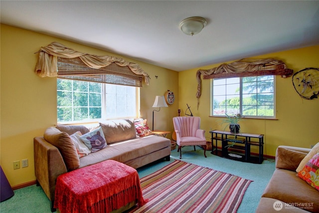 31459 Barben Rd, Sedro Woolley, WA 98284 - photo 24