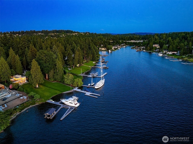 3611 Hunts Point Rd, Hunts Point, WA 98004 - aerial view of a nearby body of water