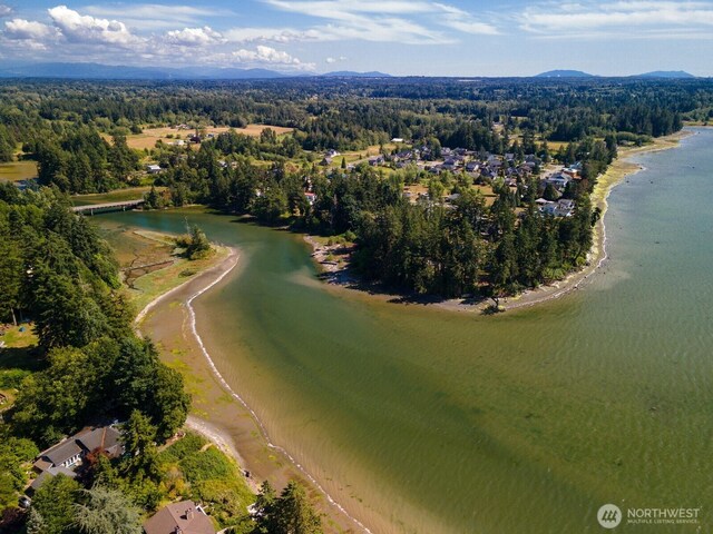 2521 Dodd Ave, Blaine, WA 98230 - photo 38