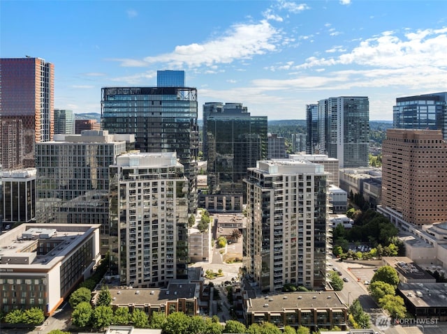10610 NE 9th Pl Unit 1220, Bellevue, WA 98004 - city view