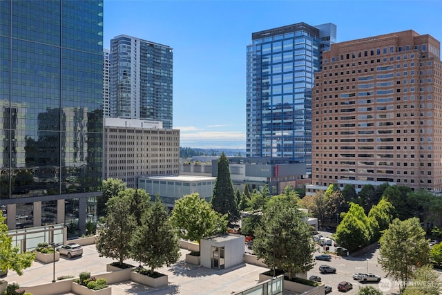 10610 NE 9th Pl Unit 1220, Bellevue, WA 98004 - view of city