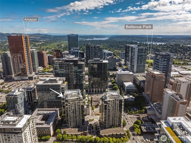 10610 NE 9th Pl Unit 1220, Bellevue, WA 98004 - view of city