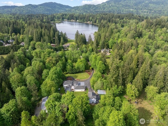 18911 SE 144th St, Renton, WA 98059 - photo 1