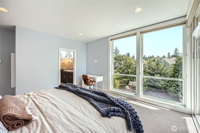 9544 3rd Ave NW, Seattle, WA 98117 - bedroom with multiple windows, recessed lighting, carpet flooring, and ensuite bathroom