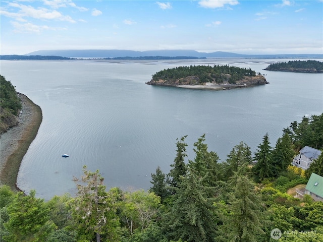 7370 Holiday Blvd, Anacortes, WA 98221 - photo 29