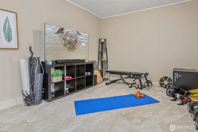 3041 S 201st St, Seatac, WA 98198 - exercise room featuring carpet floors and crown molding