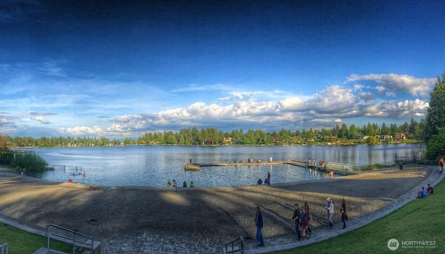 3041 S 201st St, Seatac, WA 98198 - water view with a dock