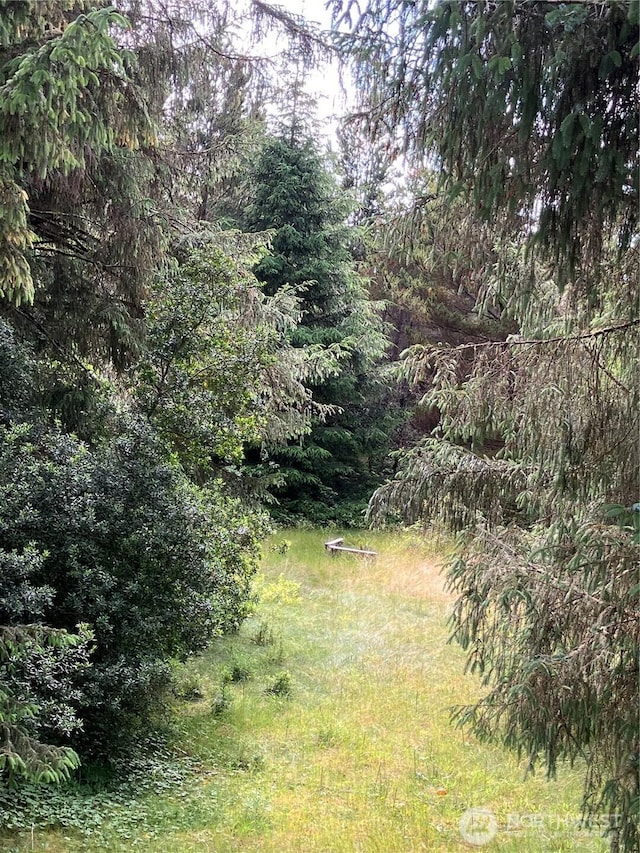 0 143rd Pl, Long Beach, WA 98631 - photo 3