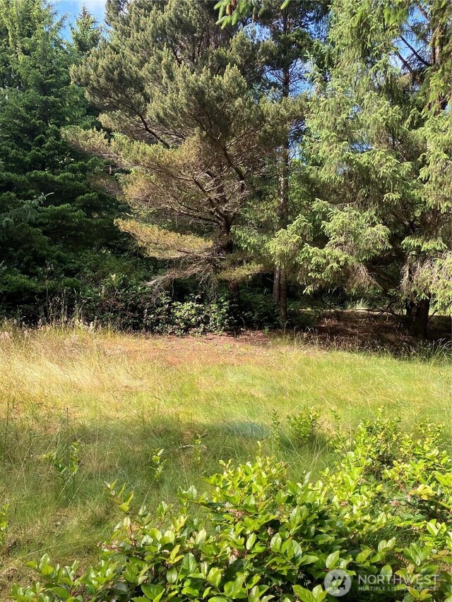 0 143rd Pl, Long Beach, WA 98631 - photo 7