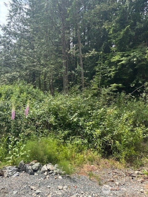 519 Cain Lake Rd, Sedro Woolley, WA 98284