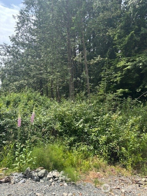 519 Cain Lake Rd, Sedro Woolley, WA 98284