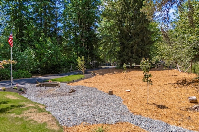 29701 52nd Ave E, Graham, WA 98338 - view of yard