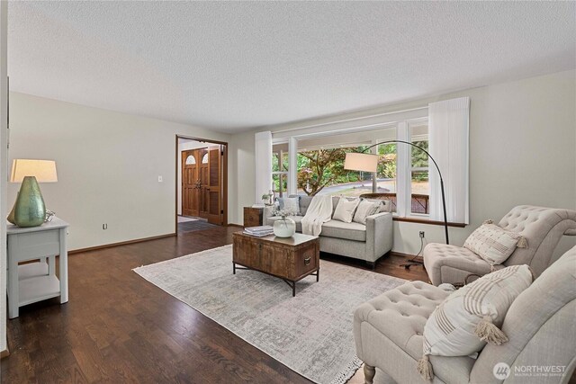 29701 52nd Ave E, Graham, WA 98338 - living room featuring a textured ceiling and dark wood-style flooring
