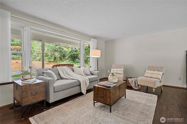 29701 52nd Ave E, Graham, WA 98338 - living room featuring wood finished floors and a textured ceiling