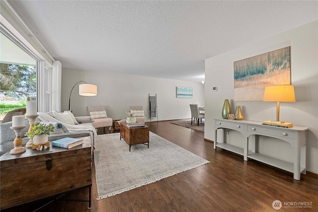 29701 52nd Ave E, Graham, WA 98338 - living room featuring a textured ceiling and dark wood finished floors