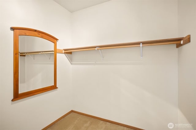 8233 NE 163rd Pl, Kenmore, WA 98028 - spacious closet featuring carpet