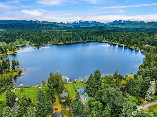 10904 W Lake Joy Dr NE, Carnation, WA 98014 - drone / aerial view of a water and mountain view