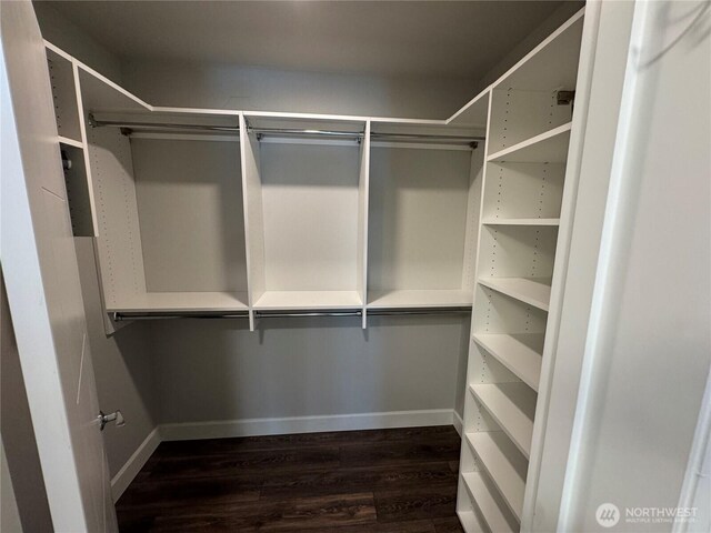 4691 Main St Unit 416, Tacoma, WA 98407 - photo 12