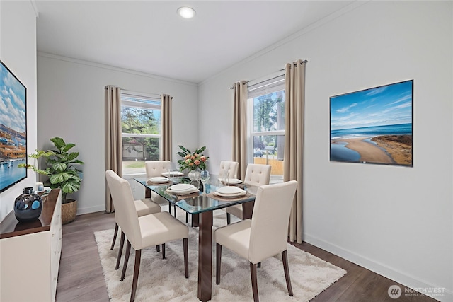 1264 Russell Dr, Coupeville, WA 98239 - dining area featuring ornamental molding, plenty of natural light, wood finished floors, and recessed lighting