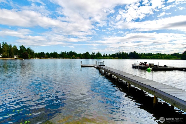 6601 27th Ln SE, Lacey, WA 98503 - dock area with a water view