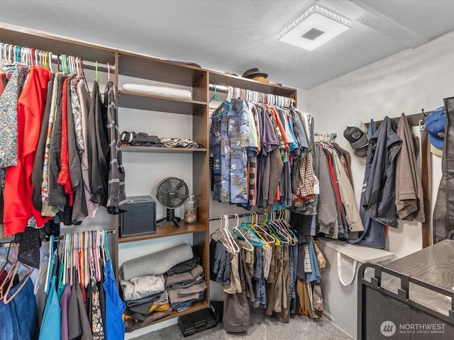 25107 Old Owen Rd, Monroe, WA 98272 - walk in closet with carpet flooring
