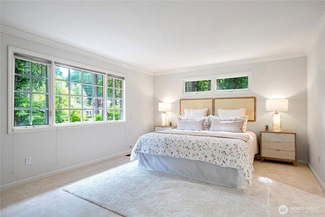 5265 140th Ave NE, Bellevue, WA 98005 - bedroom with crown molding and carpet flooring