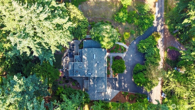 5265 140th Ave NE, Bellevue, WA 98005 - aerial view of property and surrounding area