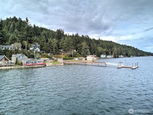 30 NE Alta Vista Dr, Belfair, WA 98528 - photo 35
