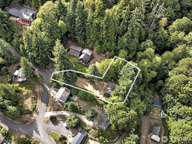 30 NE Alta Vista Dr, Belfair, WA 98528 - photo 11