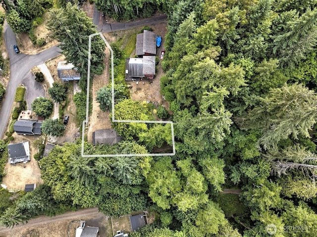 30 NE Alta Vista Dr, Belfair, WA 98528 - photo 13