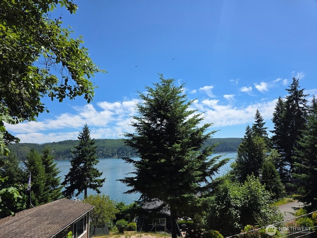 30 NE Alta Vista Dr, Belfair, WA 98528 - photo 1