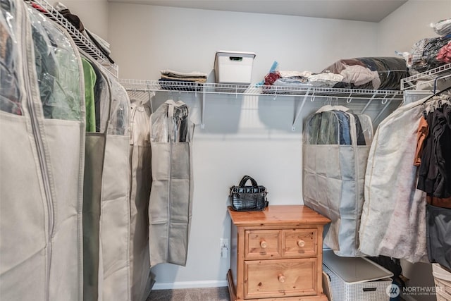 2726 Kacie Ct NE, Lacey, WA 98516 - view of walk in closet