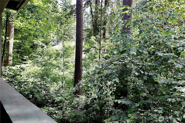 147 S 329th Pl Unit A, Federal Way, WA 98003 - view of tree filled area
