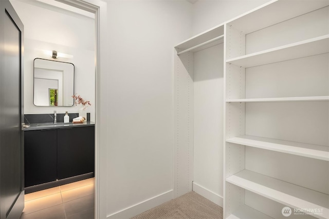 9047 Dibble Ave NW, Seattle, WA 98117 - spacious closet with a sink