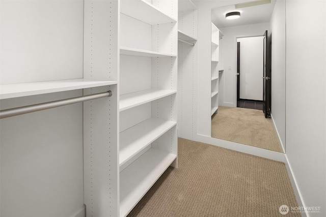 9047 Dibble Ave NW, Seattle, WA 98117 - walk in closet featuring light carpet