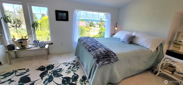 2904 271st St, Ocean Park, WA 98640 - bedroom featuring carpet flooring