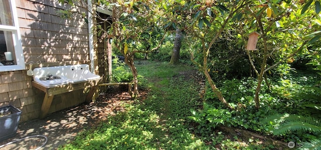 2904 271st St, Ocean Park, WA 98640 - view of yard