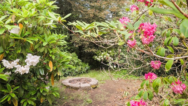 2904 271st St, Ocean Park, WA 98640 - view of yard